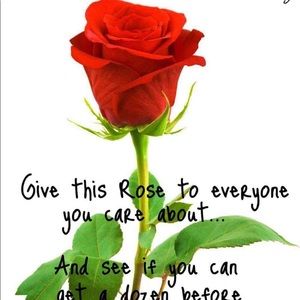 Meet your Posher, Rosie